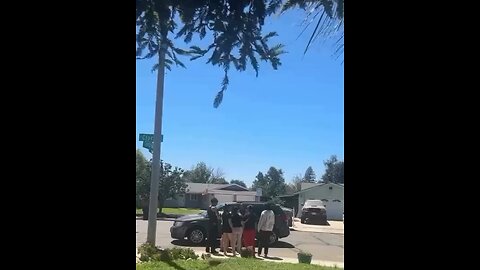 Fight is back
