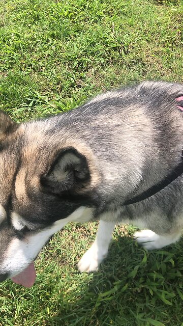 Saturday June 15, Become like little children