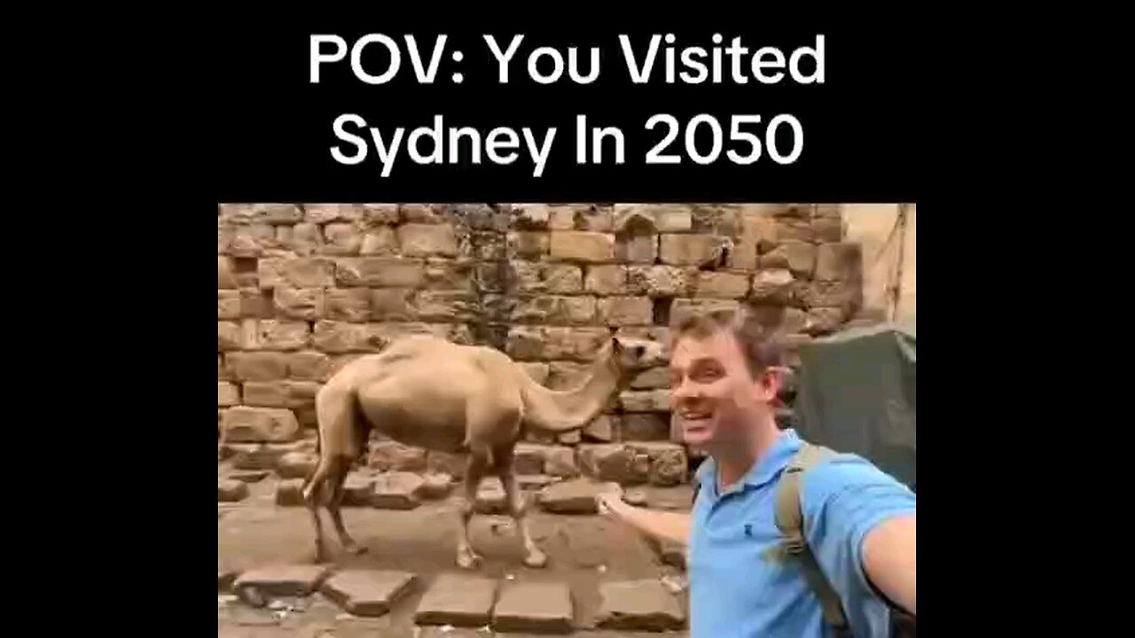 Prediction For Sydney In 2050-If Albanese's Labor party Continues It's Reckless Immigration Policies