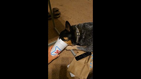The Darn Cup is Too Small