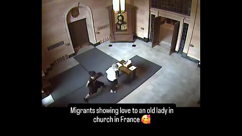 Illegal immigrants in France steal an elderly woman’s purse and is assaulted