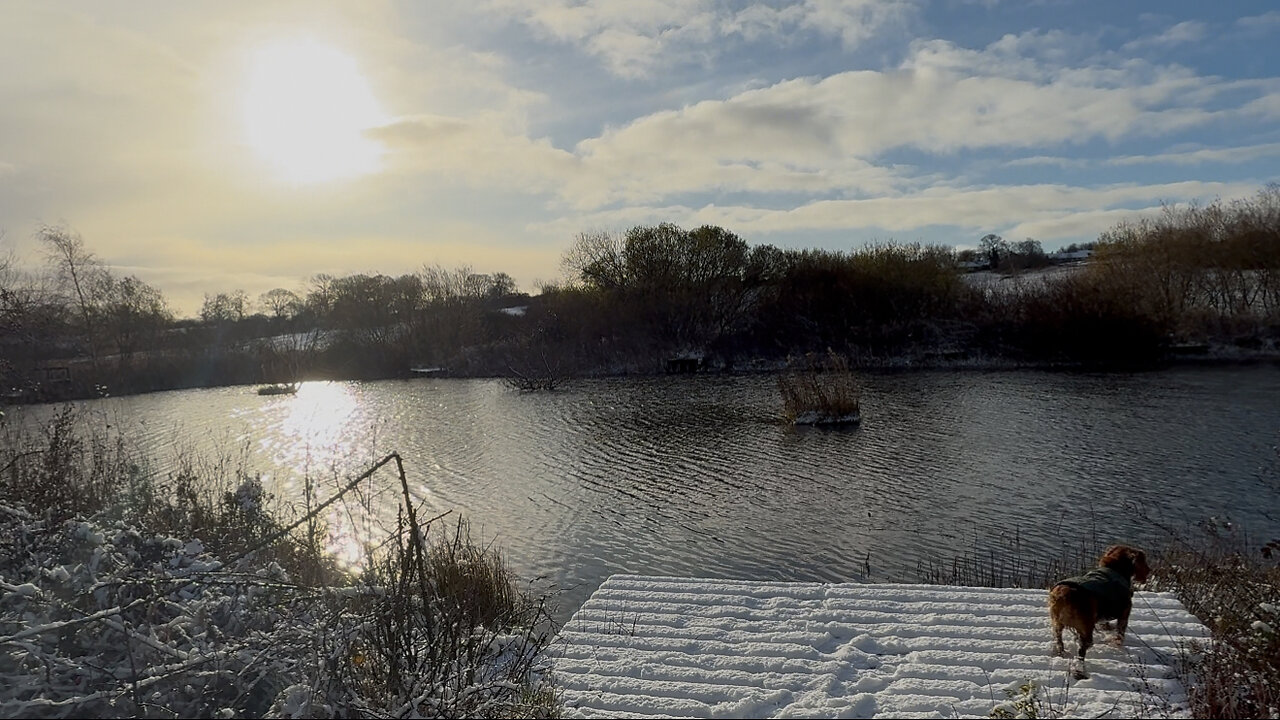 20/11/25 trail run with willow