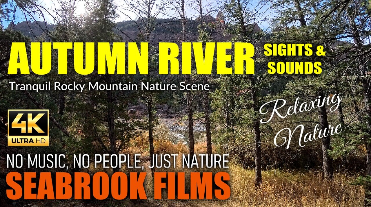 Autumn River Sights and Sounds: Tranquil Rocky Mountain Nature Scene