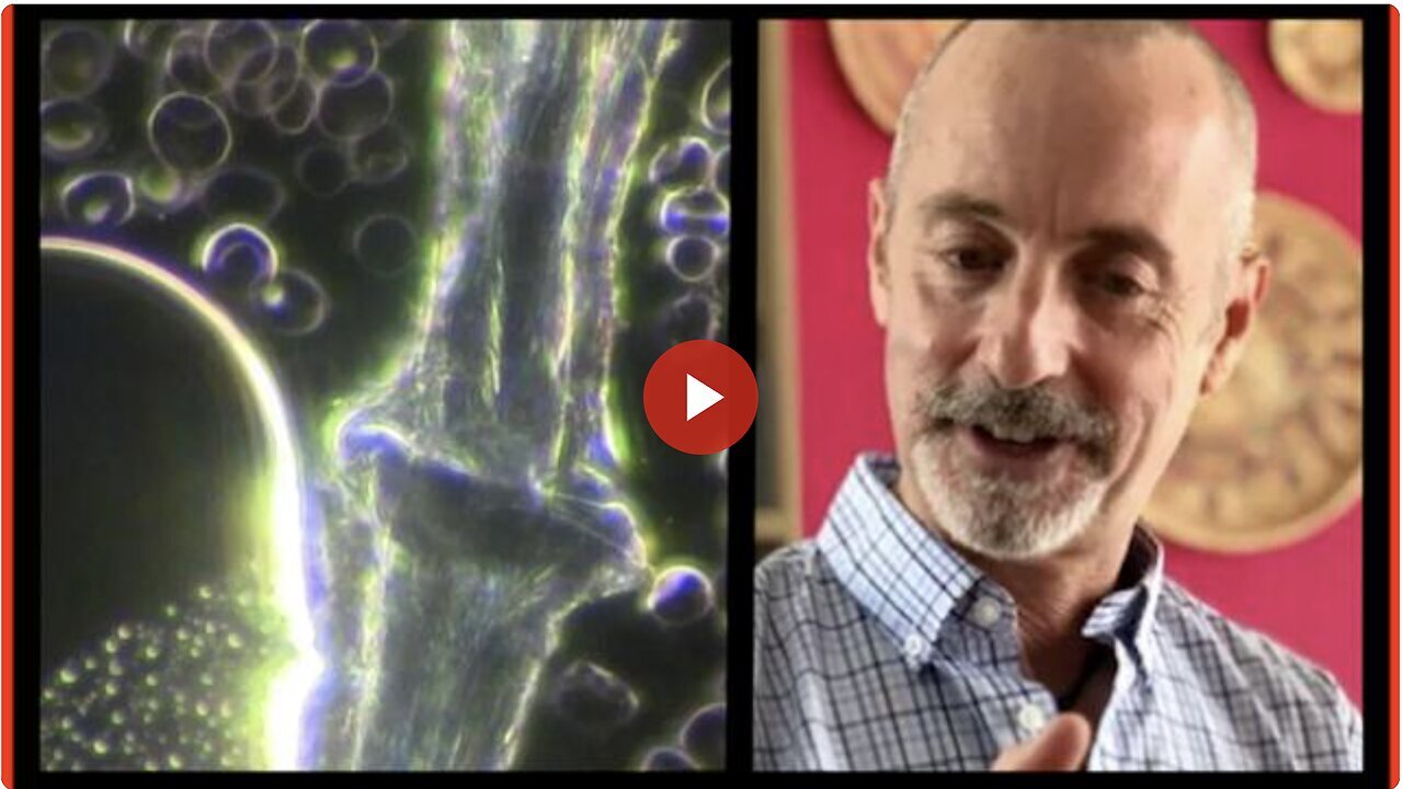 "Holographic Blood" by Adam Bigelsen and Steve Falconer