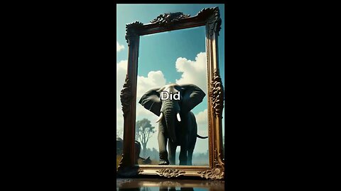 An intresting facts about the Elephant