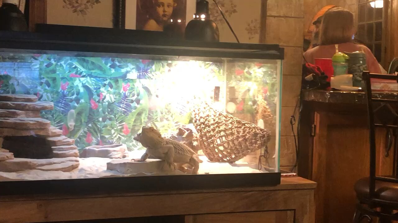 He’s got rhythm!