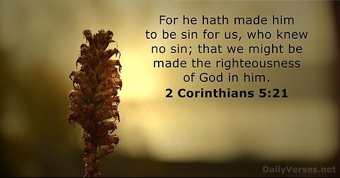 12 Things We Are and Have In Christ!!
