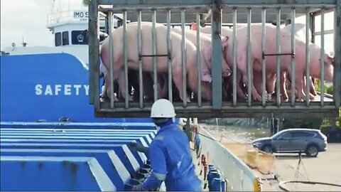 How Salami Is Made – Inside Massive Salami Processing In Biggest Factory