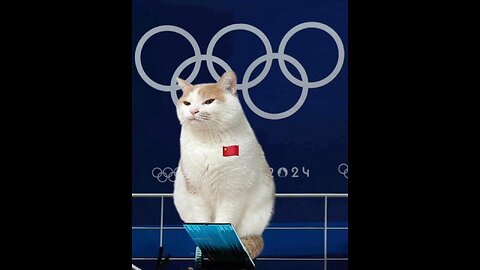 Ranking Best Al Cats Olympic Diving Moments