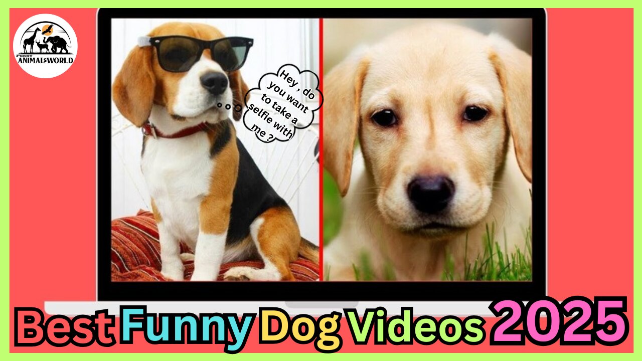 🤣 Cute and Funny Animal Videos 🤣