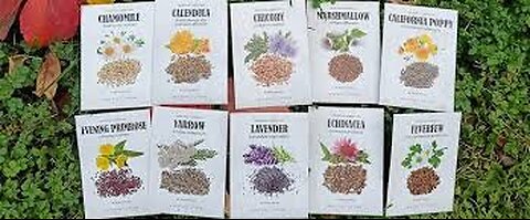 Transform Your Home into a Natural Pharmacy - Medicinal garden kit