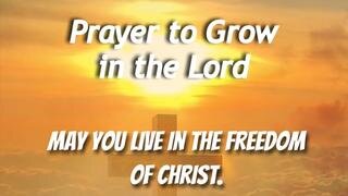 Prayer to Grow in the Lord
