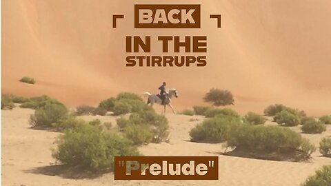 Back In The Stirrups - Abu Dhabi Desert