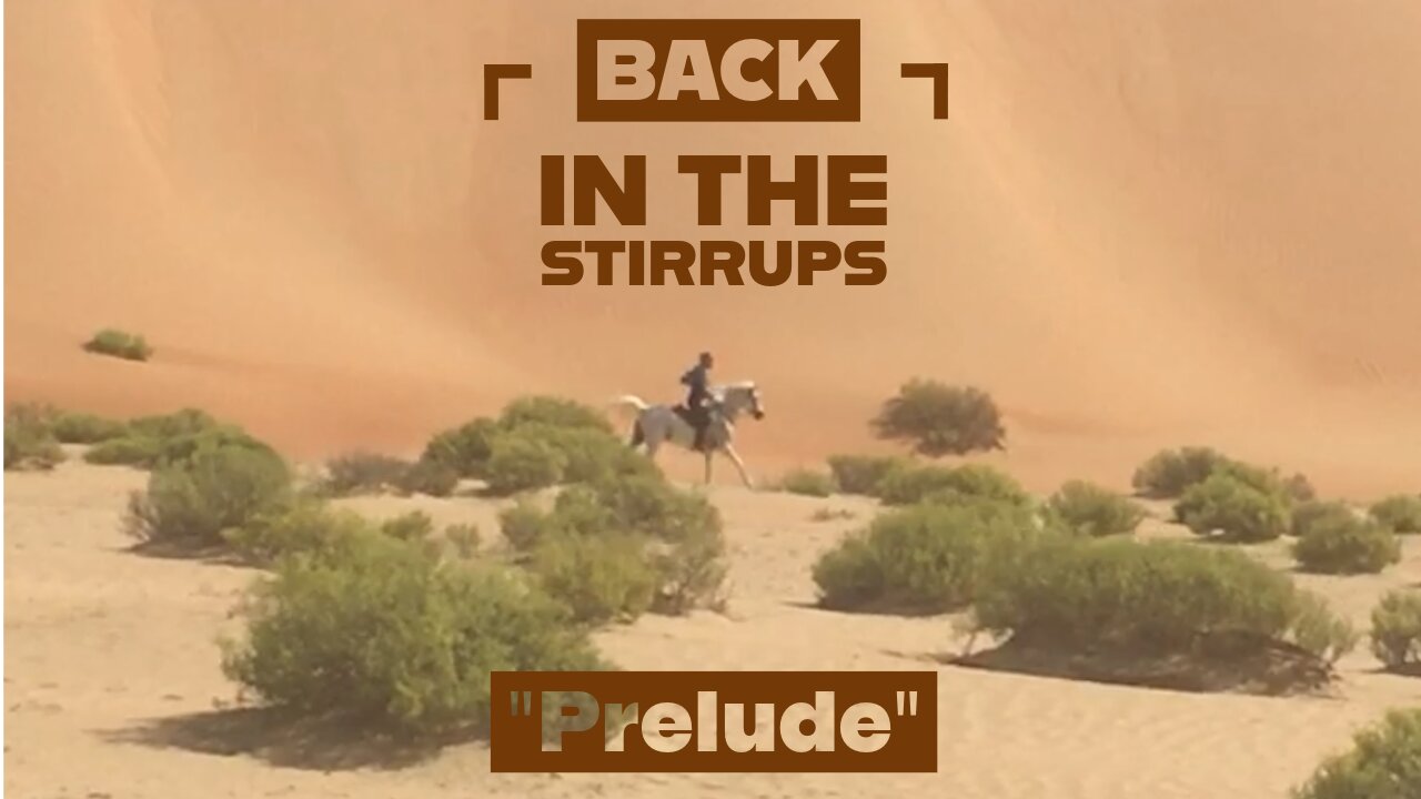 Back In The Stirrups - Abu Dhabi Desert