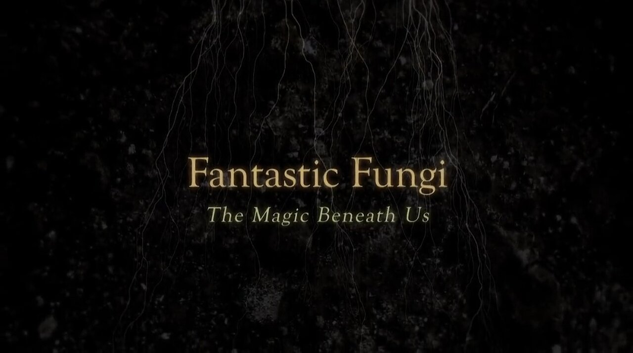 Paul Stamets ~ Fantastic Fungi 🍄 Docu.
