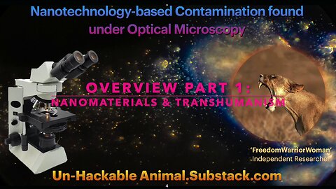 Part 1. Un-Hackable Animal: Nanobots Overview. Nanomaterials and Transhumanism.