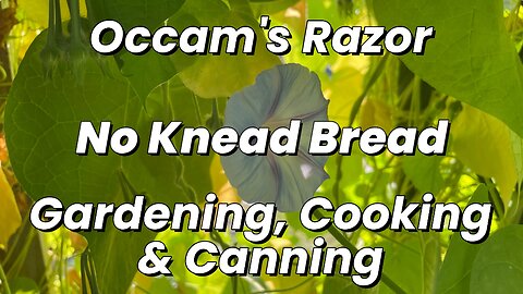 Occam's Razor Gardening, Cooking & Canning - No Knead Dutch Oven Bread