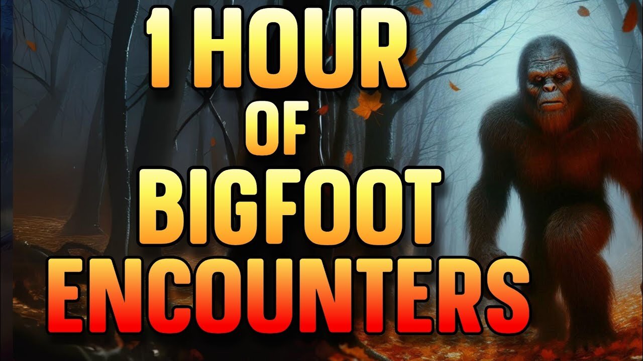 1 HOUR OF BIGFOOT ENCOUNTERS