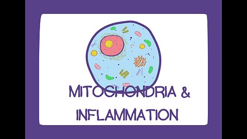 mitochondria & inflammatory markers