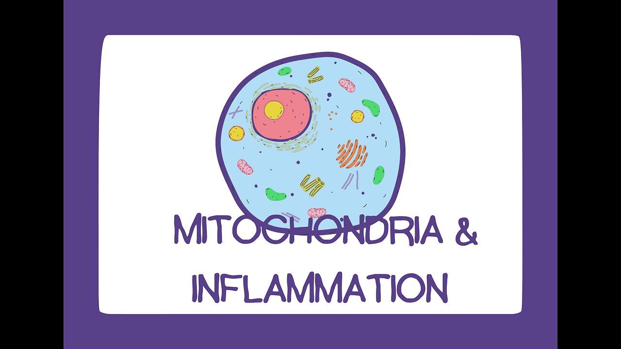 mitochondria & inflammatory markers