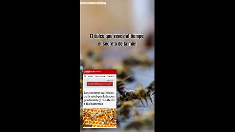 El dulce que vence al tiempo: el secreto de la miel