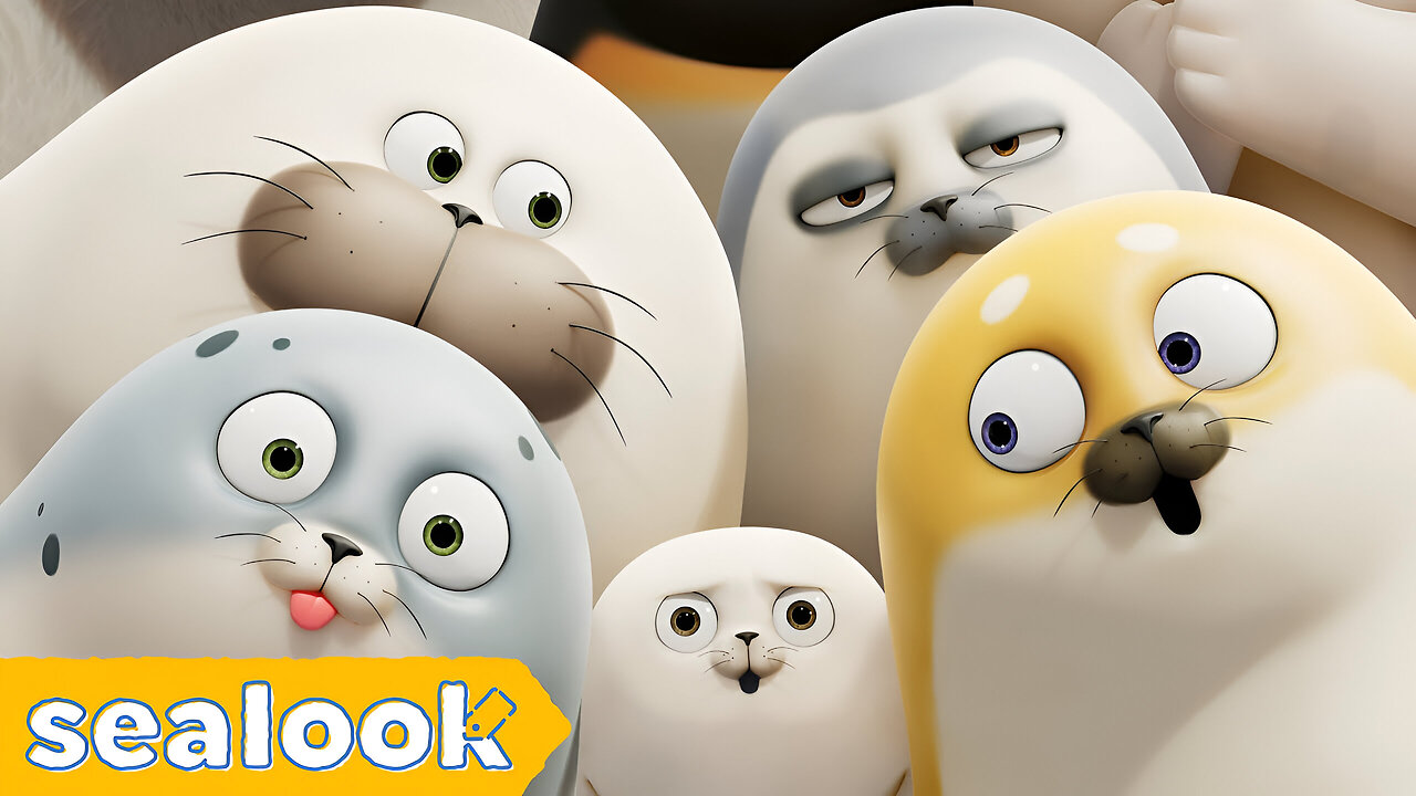 The Sealook CUTENESS EXPLOSION | Baby Seal Special | SEALOOK | Episodes Compilation