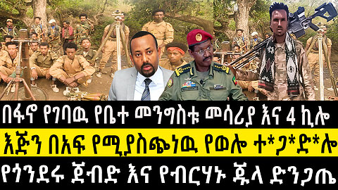 በፋኖ የገባዉ የቤተ መንግስቱ መሳሪያ እና 4 ኪሎ/እጅን በአፍ የሚያስጭነዉ የወሎ ተ*ጋ*ድ*ሎ/የጎንደሩ ጀብድ እና የብርሃኑ ጁላ ድንጋጤ