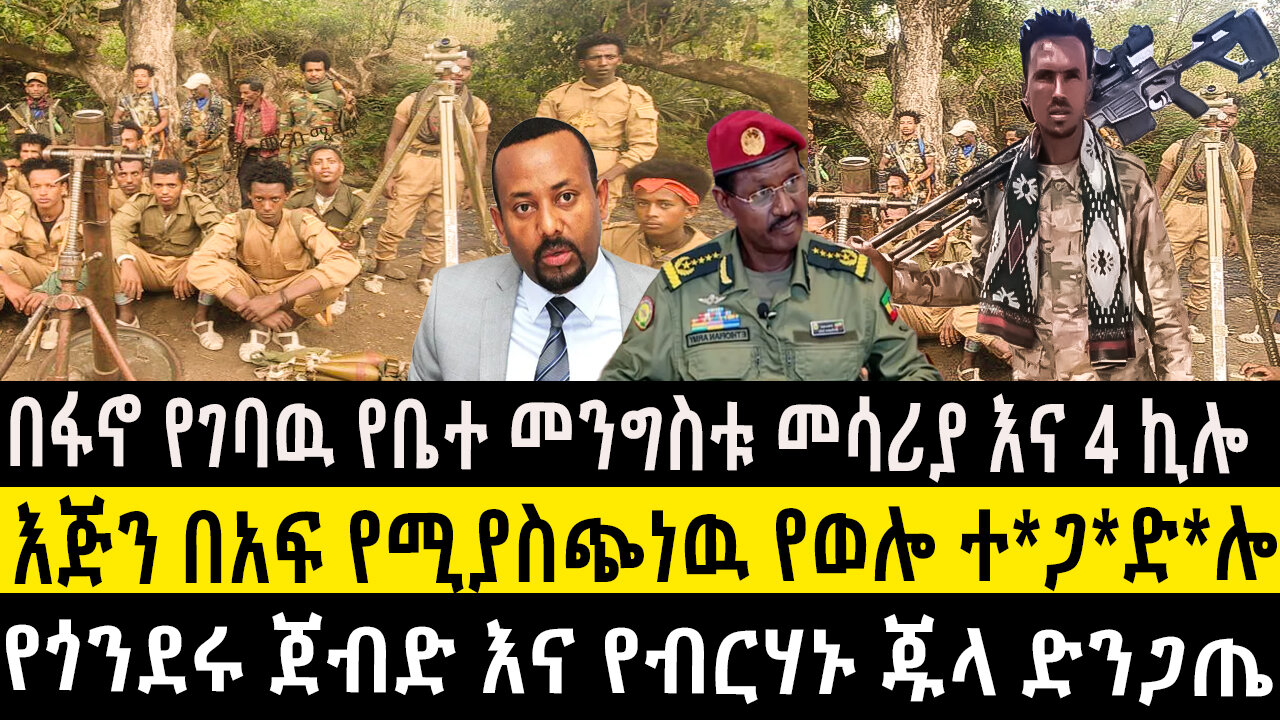 በፋኖ የገባዉ የቤተ መንግስቱ መሳሪያ እና 4 ኪሎ/እጅን በአፍ የሚያስጭነዉ የወሎ ተ*ጋ*ድ*ሎ/የጎንደሩ ጀብድ እና የብርሃኑ ጁላ ድንጋጤ