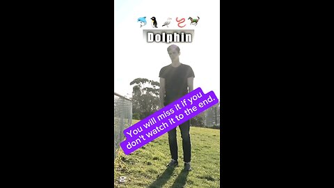 How animals get over a fence pt2 (With emojis