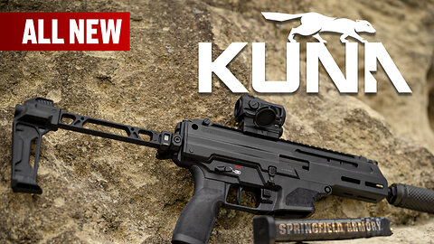 All New Springfield Armory Kuna 9mm PDW + Strike Industries Brace | Range Review