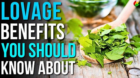 Flourish with Energy: 6 Essential Benefits of Lovage to Discover! G38