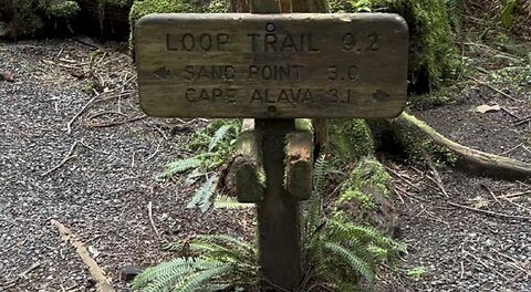 Ozette Loop Trial Hiking