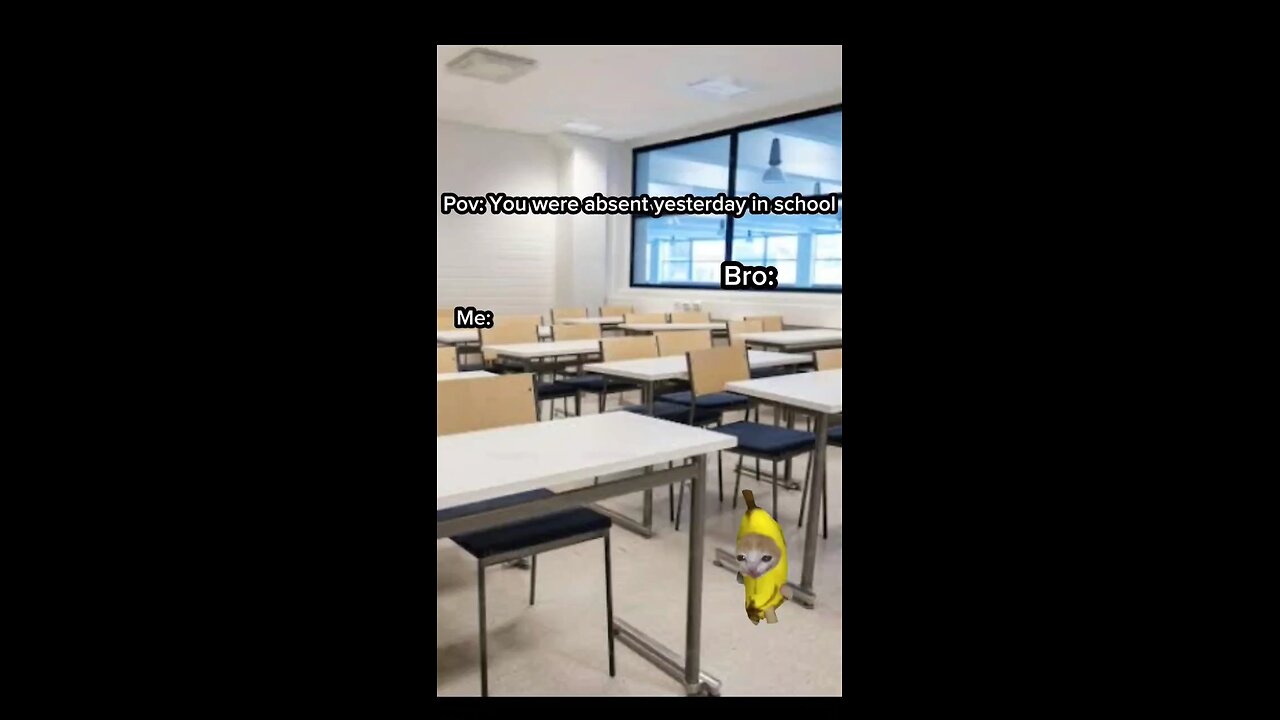 pov. you were absent yesterday in school 🏫#viral #meme #viralmeme #funnymeme #catmeme #100k #foru