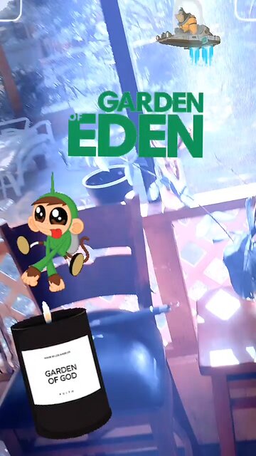 Space Monkeys business 😮