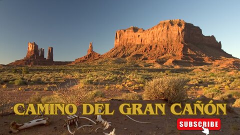 Camino del Gran Cañón / Películas del Oeste