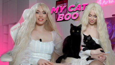 Meet My Cat Boo