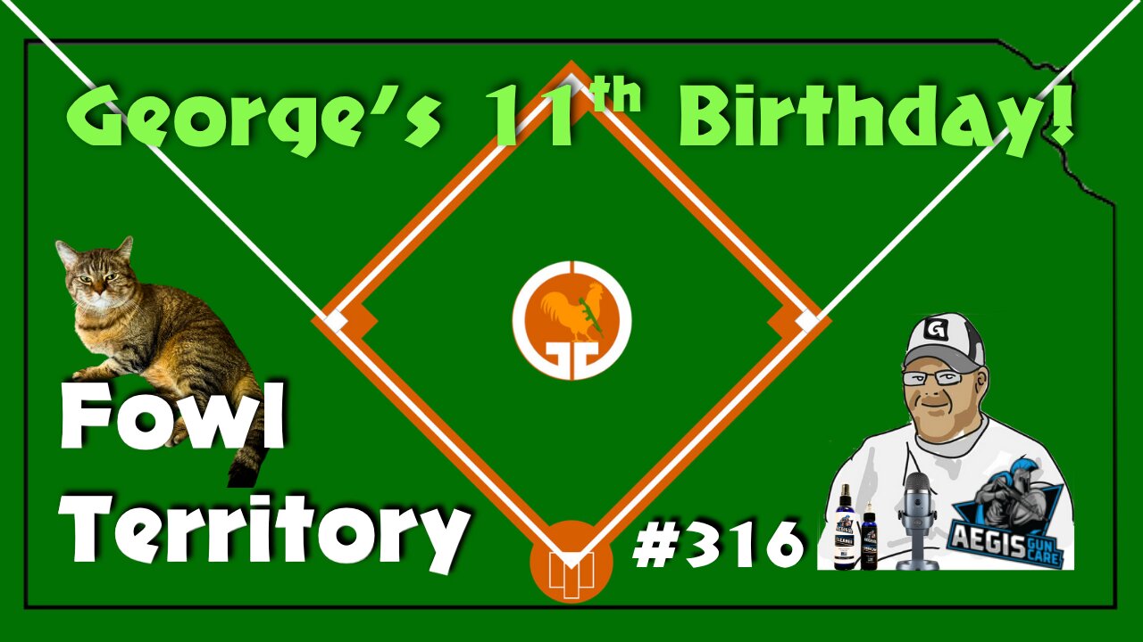 Fowl Territory #316 - Georges 11th Birthday!
