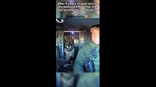 Love All Life Always #331 - After 10 Years Of Service, Police Dog Indy Signs Off For The Last Time.