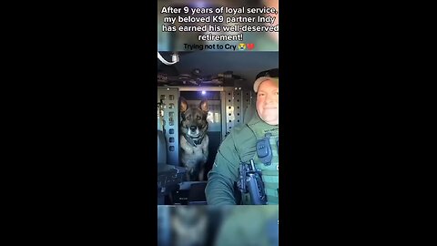 Love All Life Always #331 - After 10 Years Of Service, Police Dog Indy Signs Off For The Last Time.