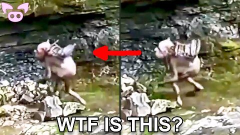 Creepy Stuff Caught on Camera You Won't Believe!