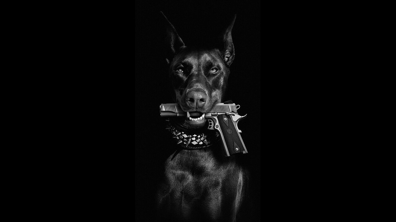 The Doberman: symbol of the blood baron