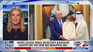 Karoline Leavitt: Musk Can Defend His Companies, Trump Must Defend the Country