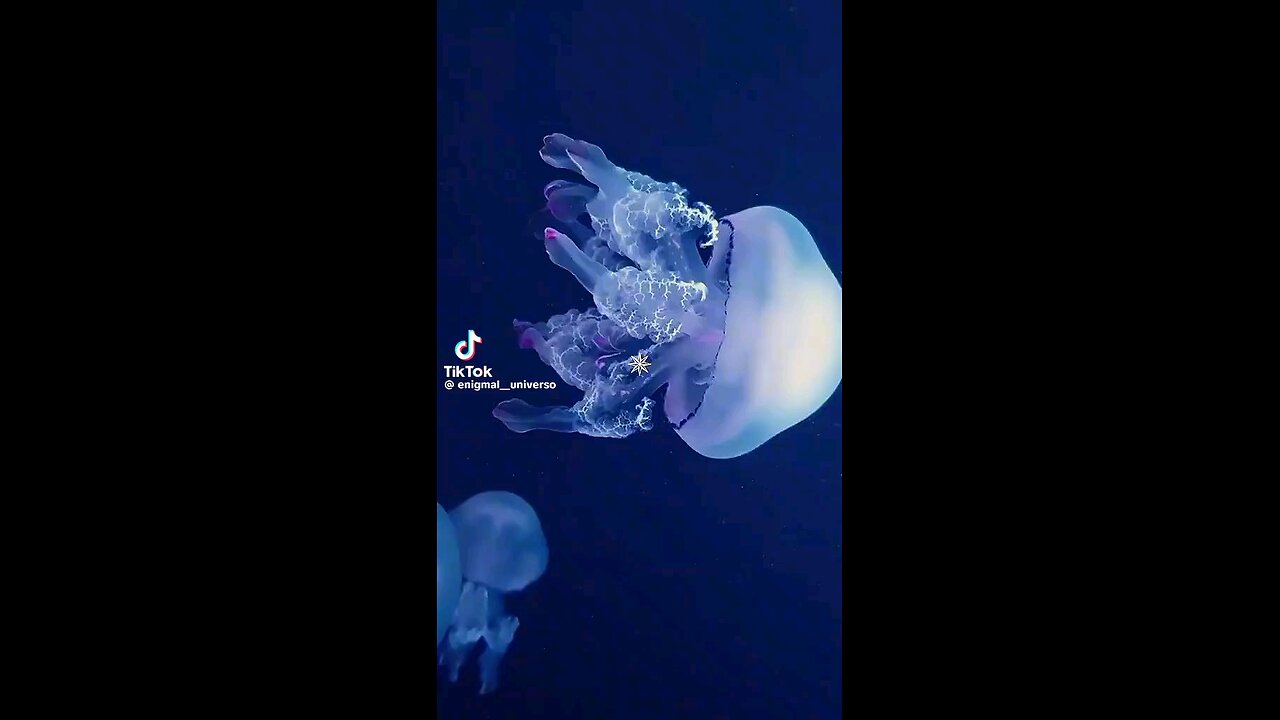 occian beautiful