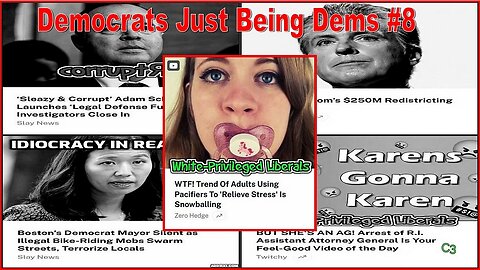 Democrats Just Being Democrats #8