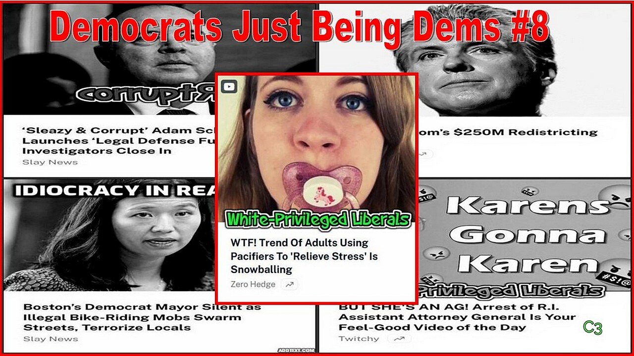 Democrats Just Being Democrats #8