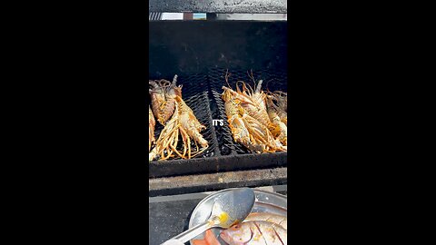What God Thinks About Lobster 🦞 Season in Belize ❗️🇧🇿