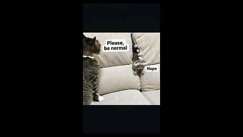 “When Life Gives You Funny Mood | Ultimate Meme Shorts” #FunnyMemes #MemeShorts #ViralVideo