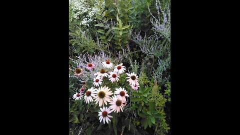 8/8/25 Nature Museum