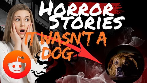 Pet ER Nightmare: The Patient Wasn’t an Animal