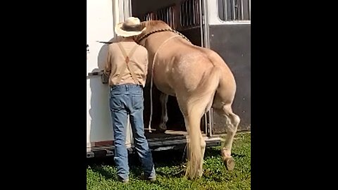 Ellis - trailer training session two - 24 July 2025